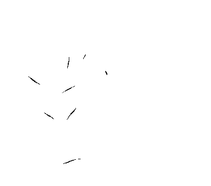 Juliet's House